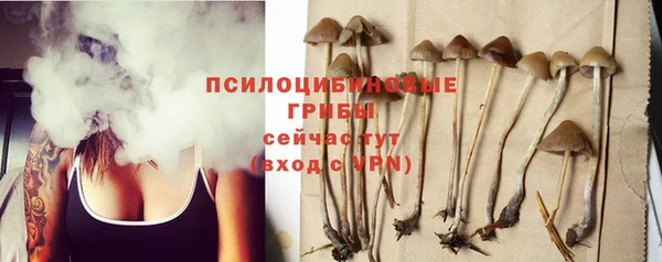 шишки Абдулино