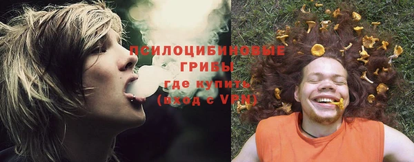 ешки Абаза