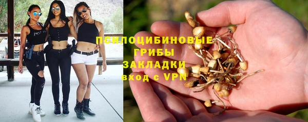 не бодяженный Алексин